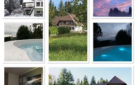 B&B Der Waldvogel